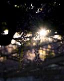 DSC09808