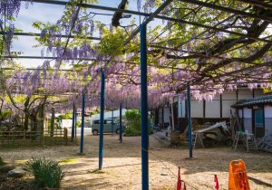 SBJ08585