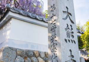 SBJ08591