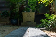 DSC09701