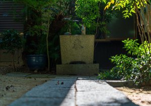DSC09701