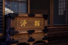 DSC09704