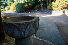 DSC09709