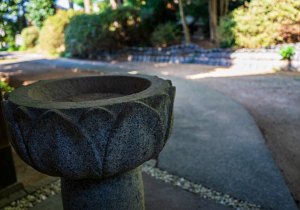 DSC09709
