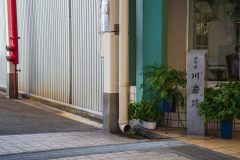 SBJ06404