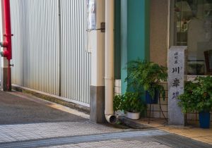 SBJ06404