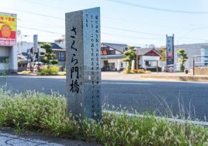 SBJ06413