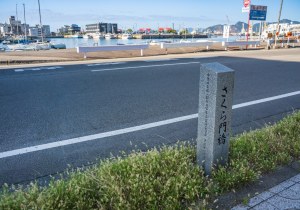 SBJ06419