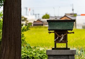 DSC08719