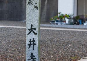 SBJ07627