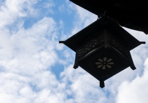 DSC05710