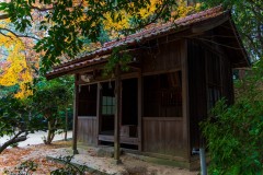 DSC05893