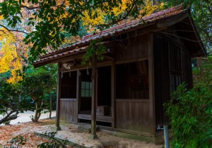 DSC05893