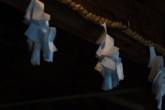 DSC05960