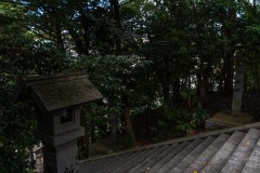 DSC05965