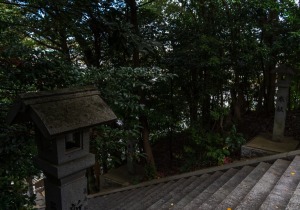 DSC05965