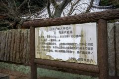 DSC05981