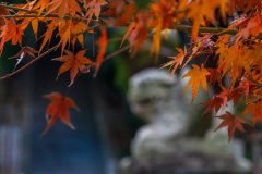 DSC05990