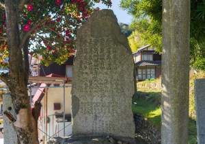 SBJ04559