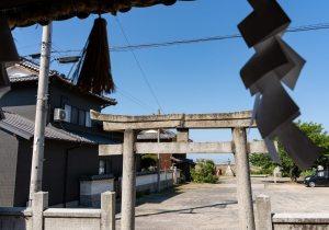 DSC05915