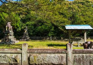 SBJ08862