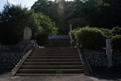 DSC08889