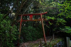 DSC08935