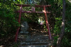 DSC08940