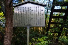 DSC08945