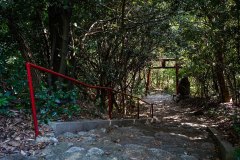 DSC08960
