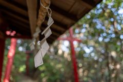 DSC08964