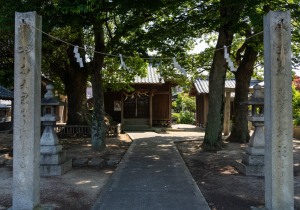 SBJ05616
