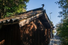 DSC07608