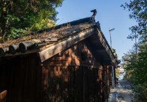 DSC07608