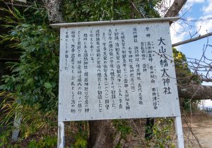 DSC06433