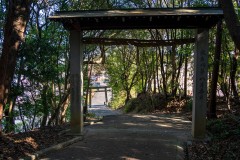 DSC06439