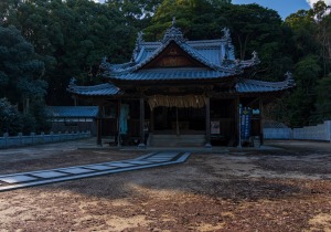 DSC06453