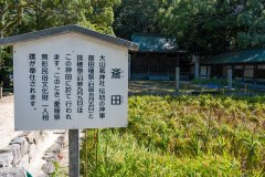 DSC09006