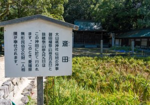 DSC09006