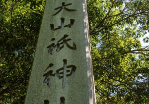 DSC09044