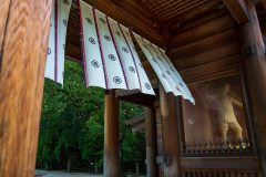 DSC09050