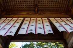 DSC09070