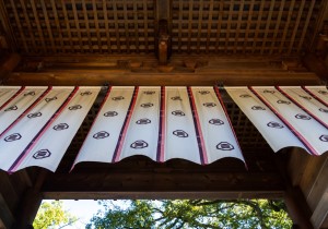 DSC09070
