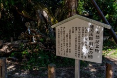 DSC09087