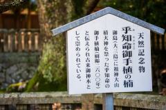 DSC09107