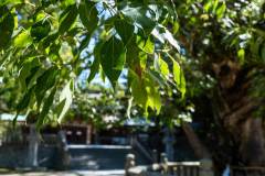 DSC09118