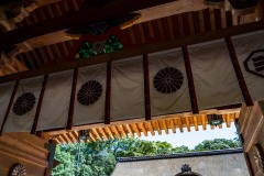 DSC09128