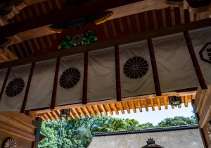 DSC09128