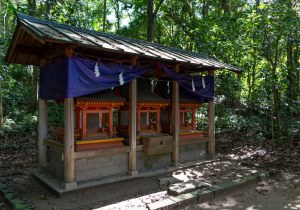 DSC09178