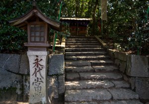DSC09181